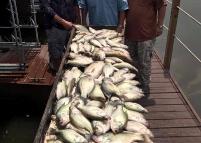 Three men standing next to a boat full of fish.