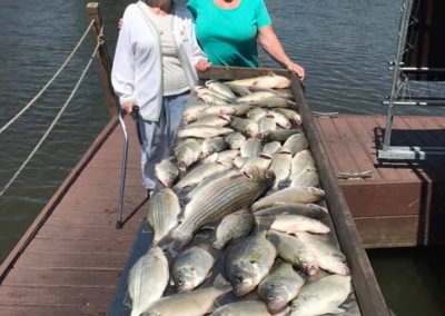 Two women standing on a dock with fish.