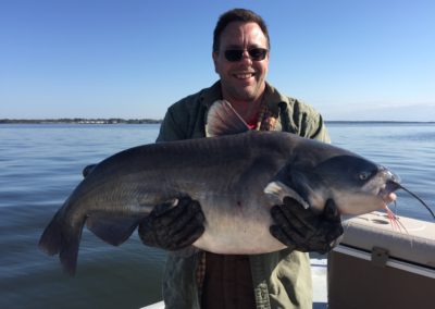 Catfish (50)