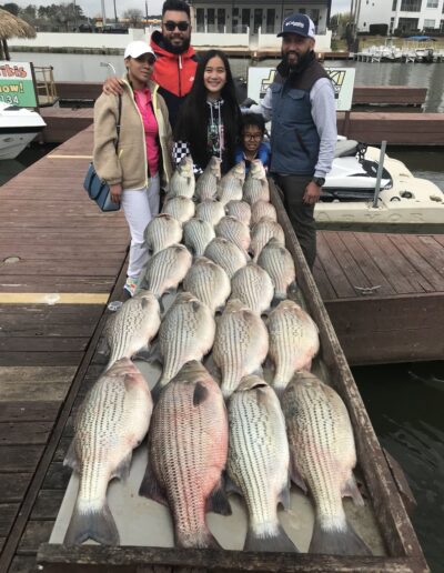 A group of people standing next to fish on the dock.