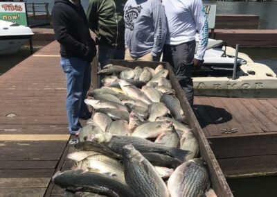 A group of men standing next to a boat filled with fish.