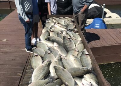 A group of people standing next to a pile of fish.