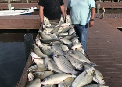 Two men standing next to a pile of fish.